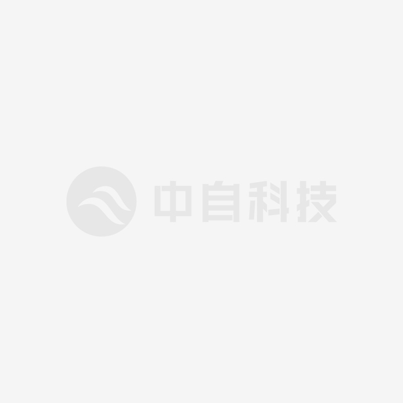 中自環保參與承擔“十三五”“可再生能源與氫能技術”國家重點研發計劃項目